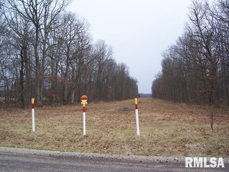 2150 Red Stripe Road Odin, IL 62870 - Photo 2 of 3