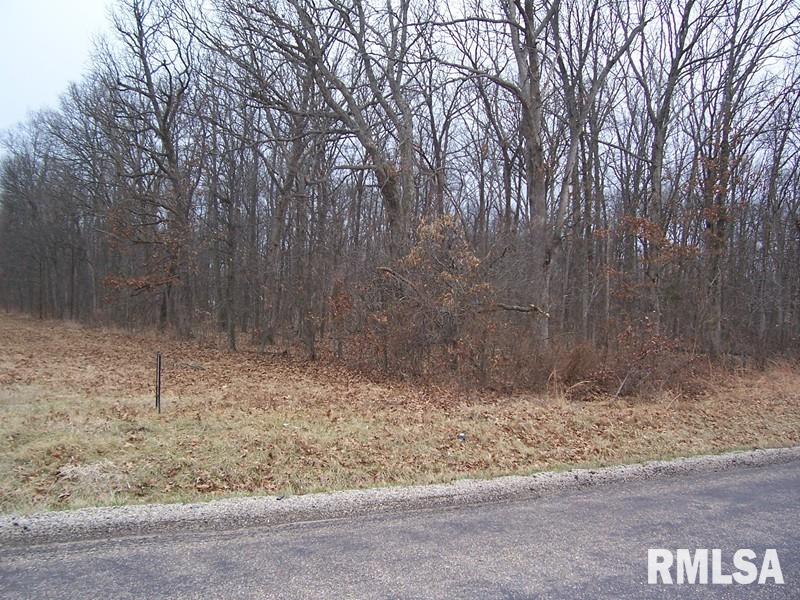 2150 Red Stripe Road Odin, IL 62870 - Photo 3 of 3