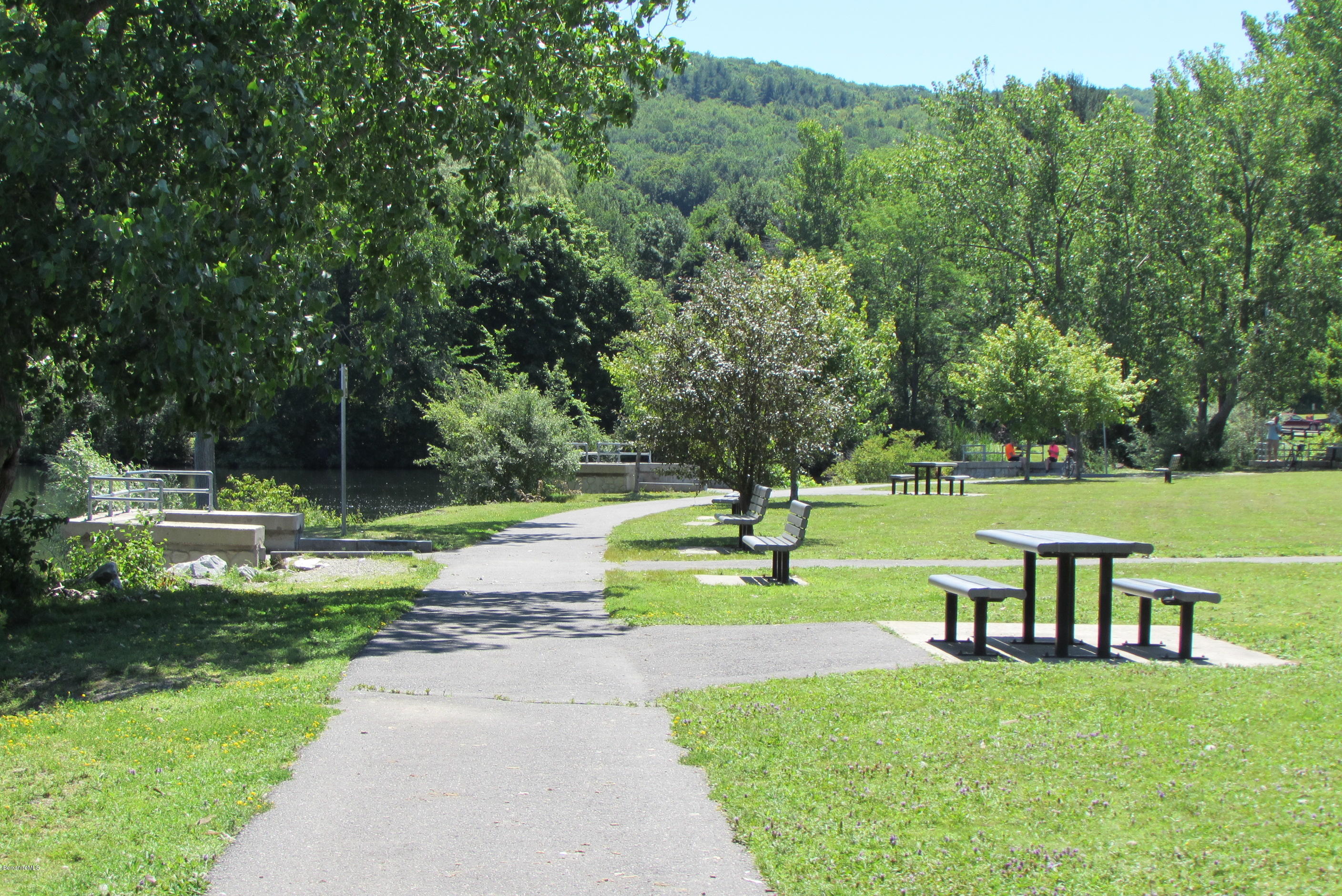 595 Lanesboro Road Cheshire, MA 01225 - Photo 29 of 32 a view of a park with large trees