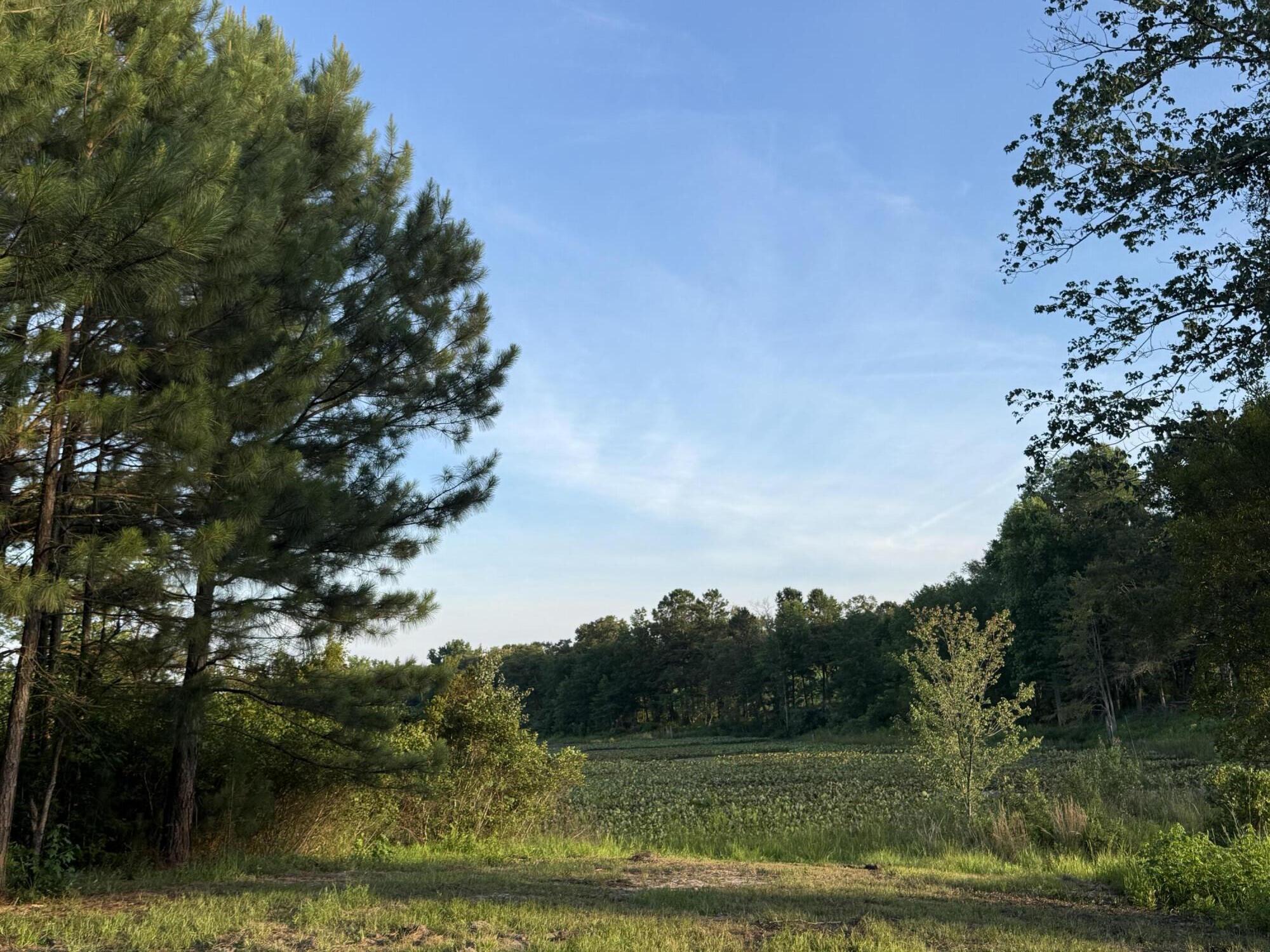 Lot 12 Reeves Street Aiken, SC 29805 - Photo 13 of 22