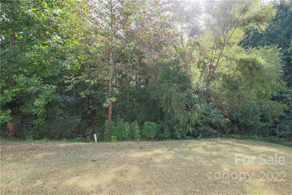 6154 Trotters Ridge Road Charlotte, NC 28227 - Photo 28 of 28 a view of a yard with a tree