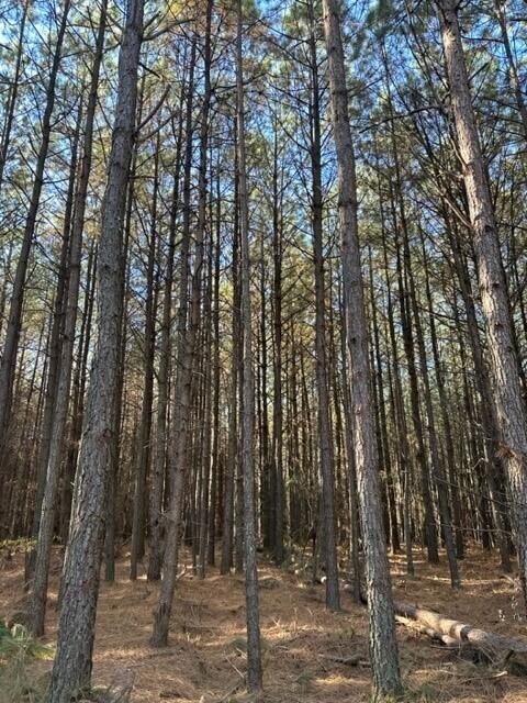 15 Fredonia Road, Unit 15 Dunlap, TN 37327 - Photo 1 of 4 Fredonia Lot 15c