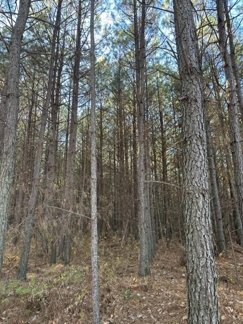15 Fredonia Road, Unit 15 Dunlap, TN 37327 - Photo 2 of 4 Fredonia Lot 15b
