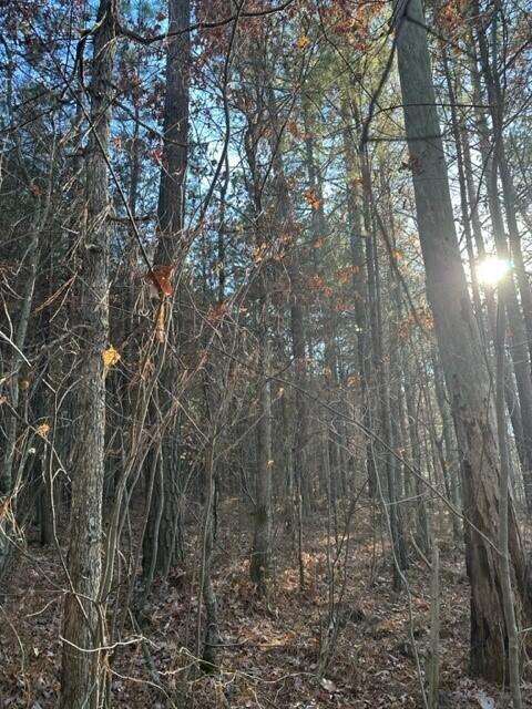 15 Fredonia Road, Unit 15 Dunlap, TN 37327 - Photo 3 of 4 Fredonia Lot 15d