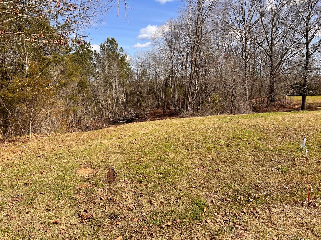 120 Otter Lane Lane Waterloo, SC 29384 - Photo 2 of 4
