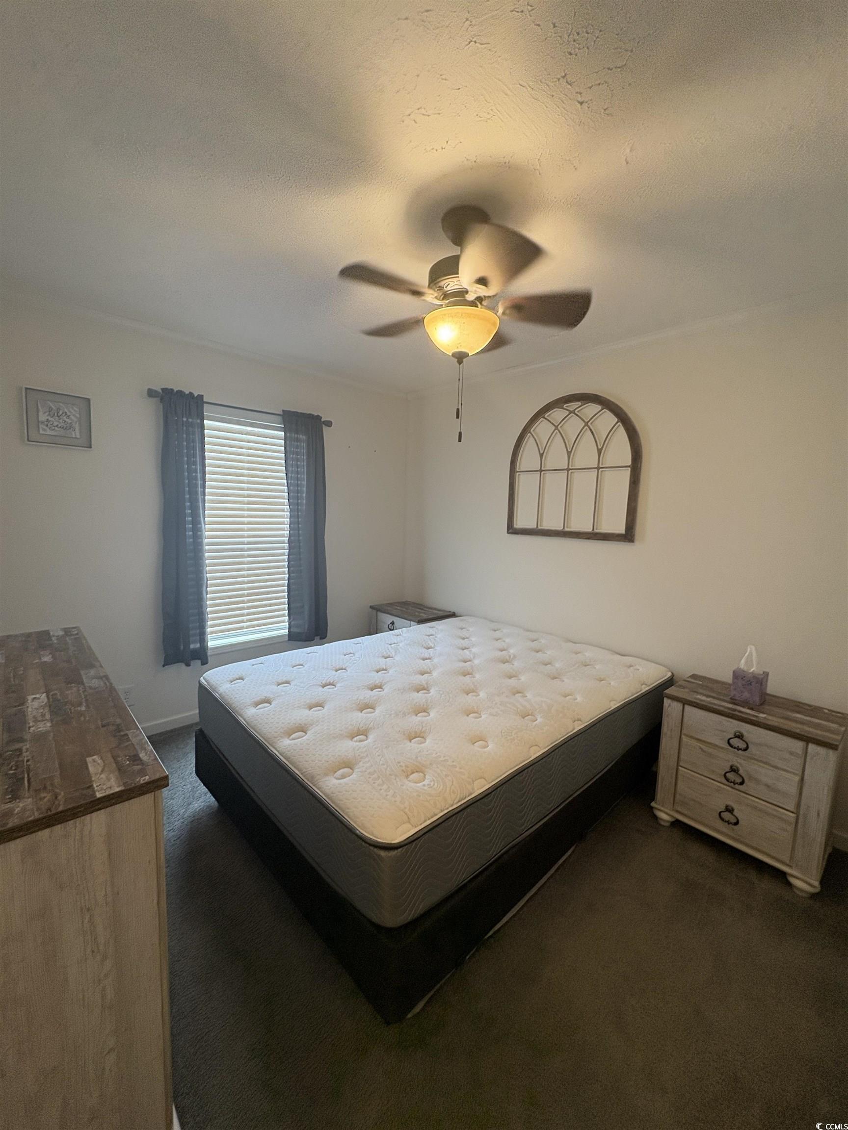 3248 Pecan Trail Murrells Inlet, SC 29576 - Photo 10 of 29 Bedroom featuring dark colored carpet, ceiling fan