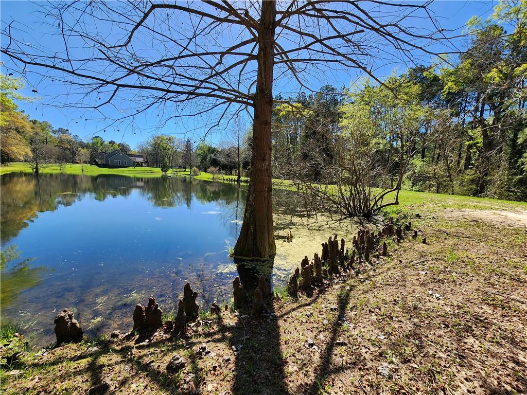 255 Libuse Cutoff Road Pineville, LA 71360 - Photo 43 of 50 Gallery Image 43