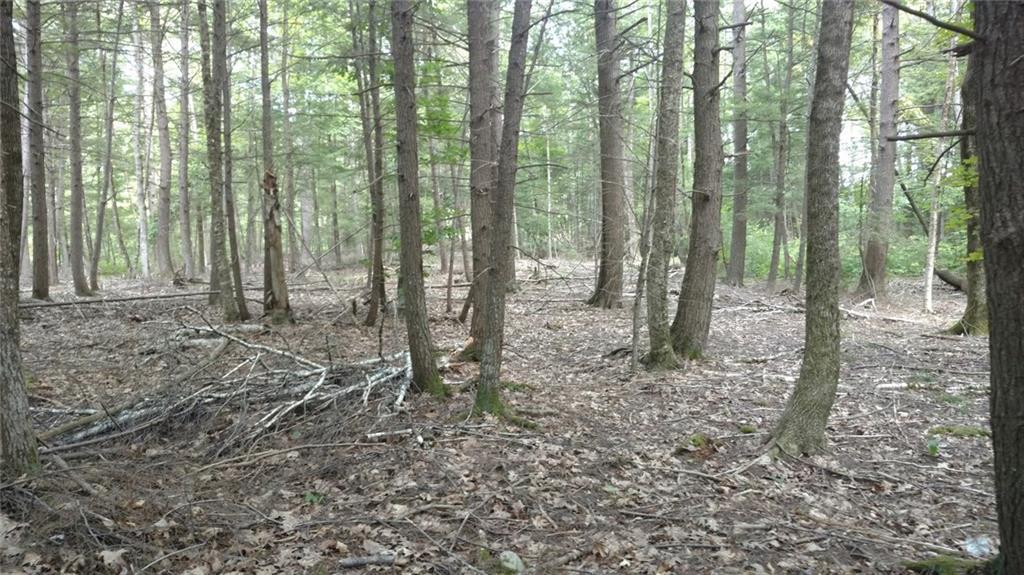 36 Flaggy Meadow Road Gorham, ME 04038 - Photo 5 of 22 Photo