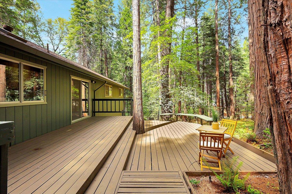 12593 Red Dog Road Nevada City, CA 95959 - Photo 7 of 41