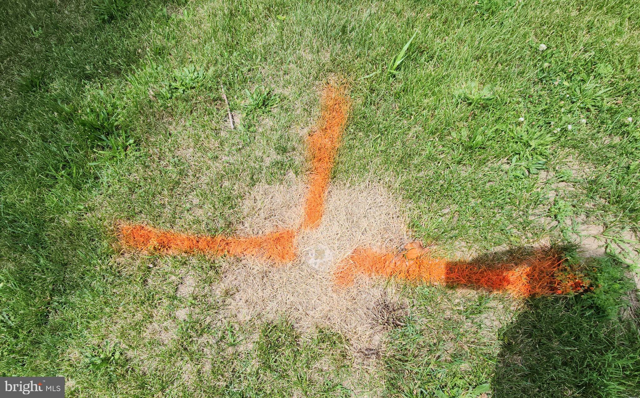 18 Centerton Road Bridgeton, NJ 08302 - Photo 4 of 6 a view of yard