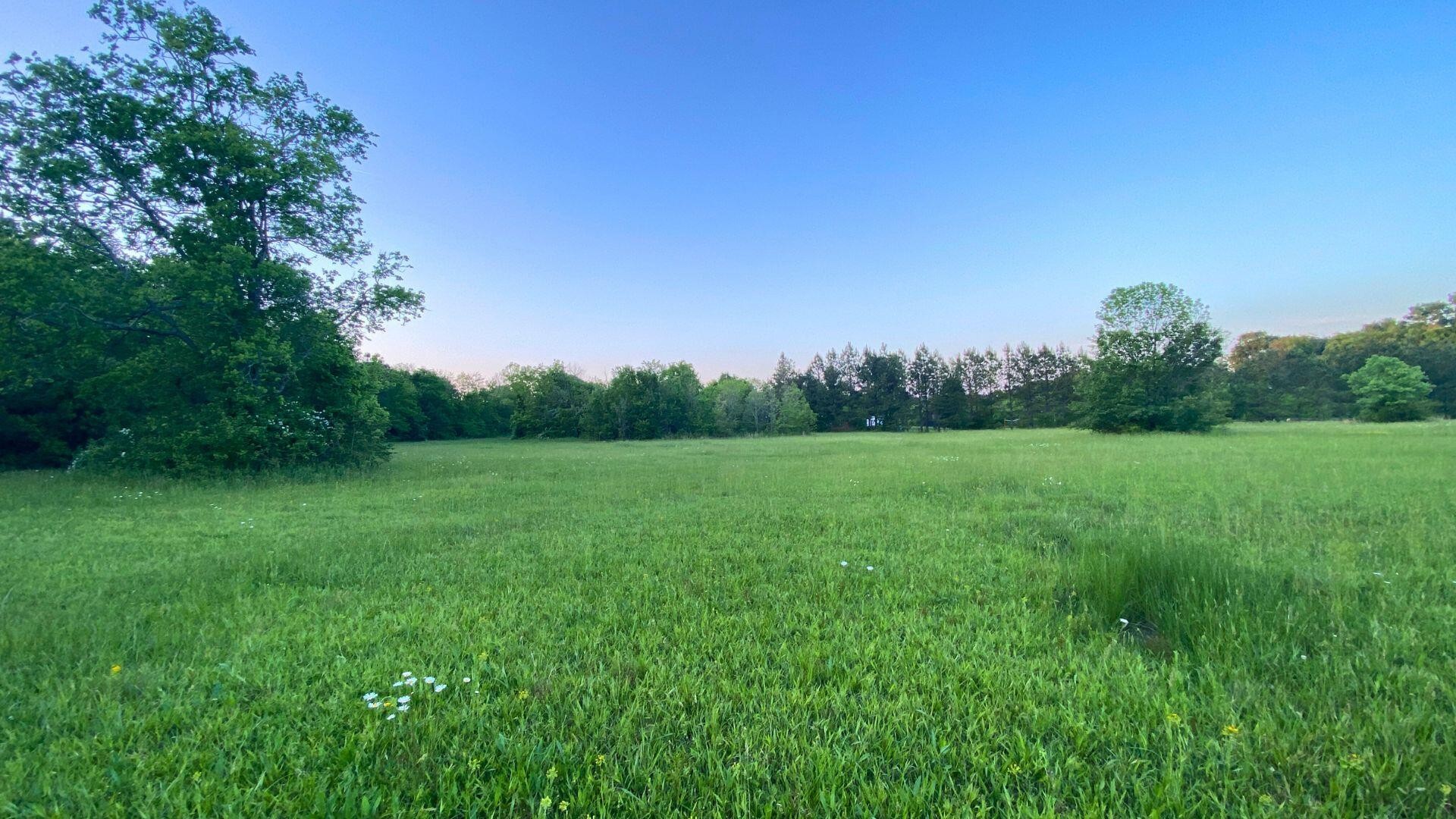 0 Thomas Road Benton, TN 37307 - Photo 3 of 16