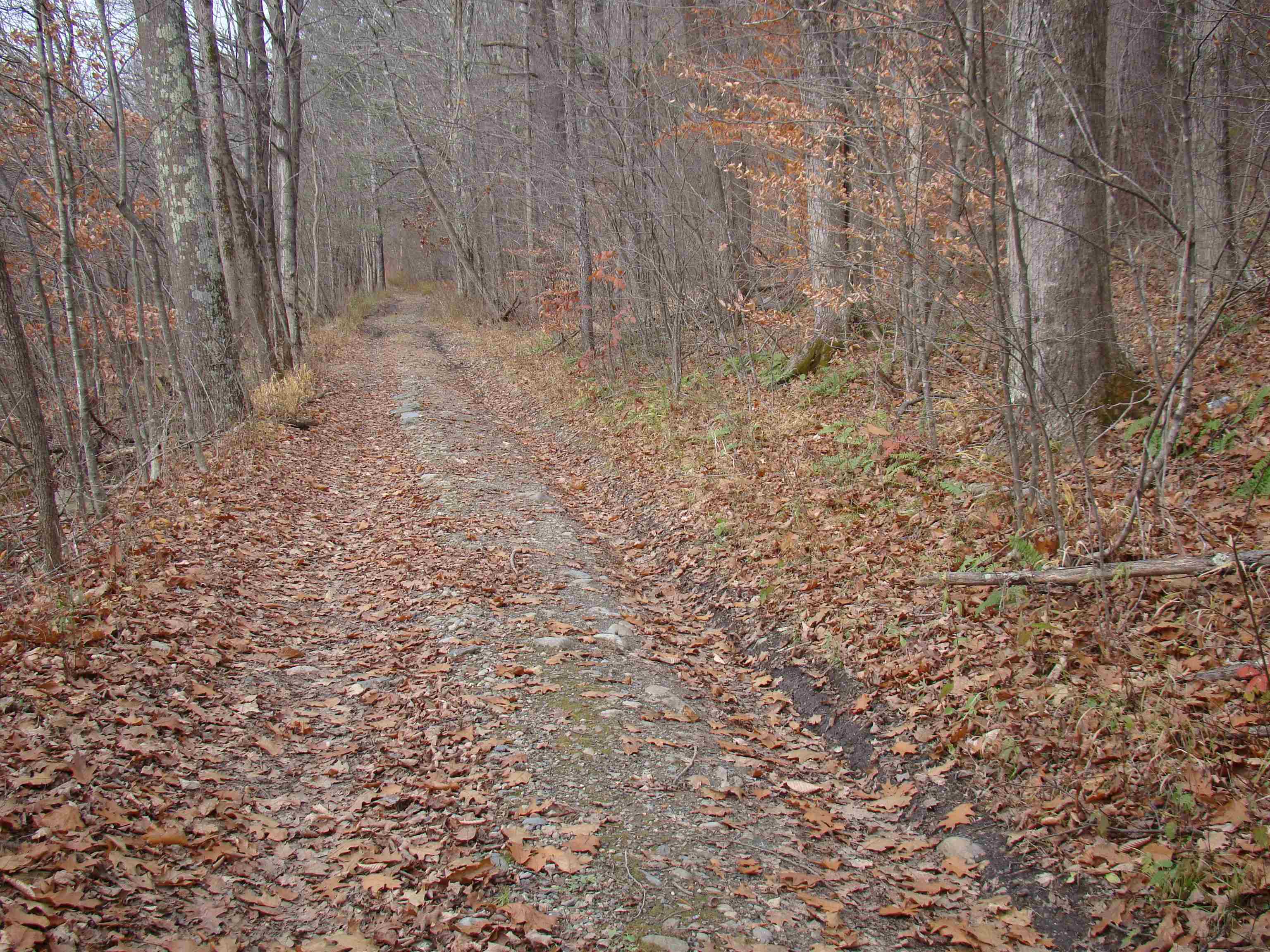 0 True Blue Road Florence, VT 05744 - Photo 17 of 18