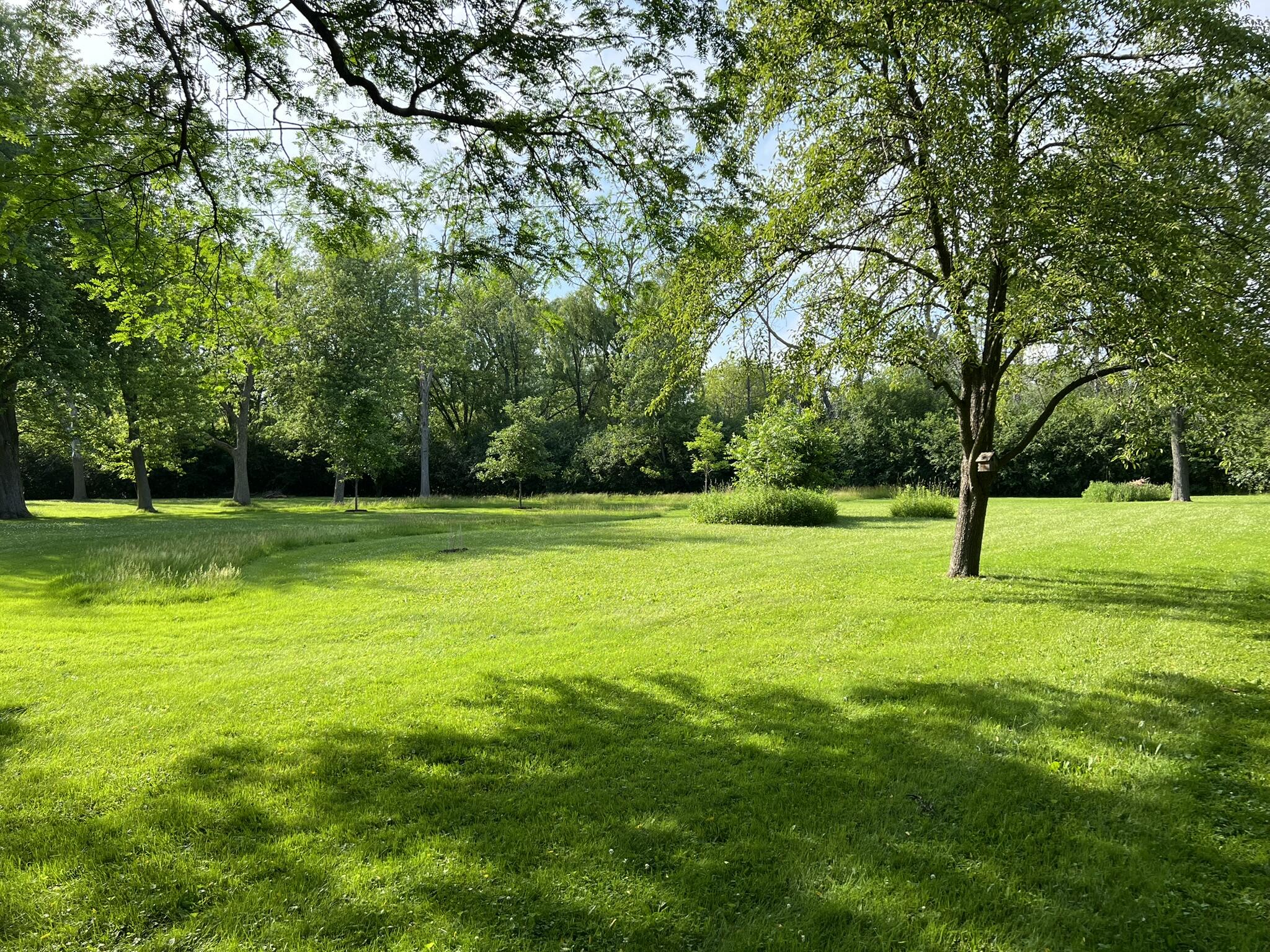 1414 West El Rancho Drive Mequon, WI 53092 - Photo 82 of 86 Seller's Summer Photo