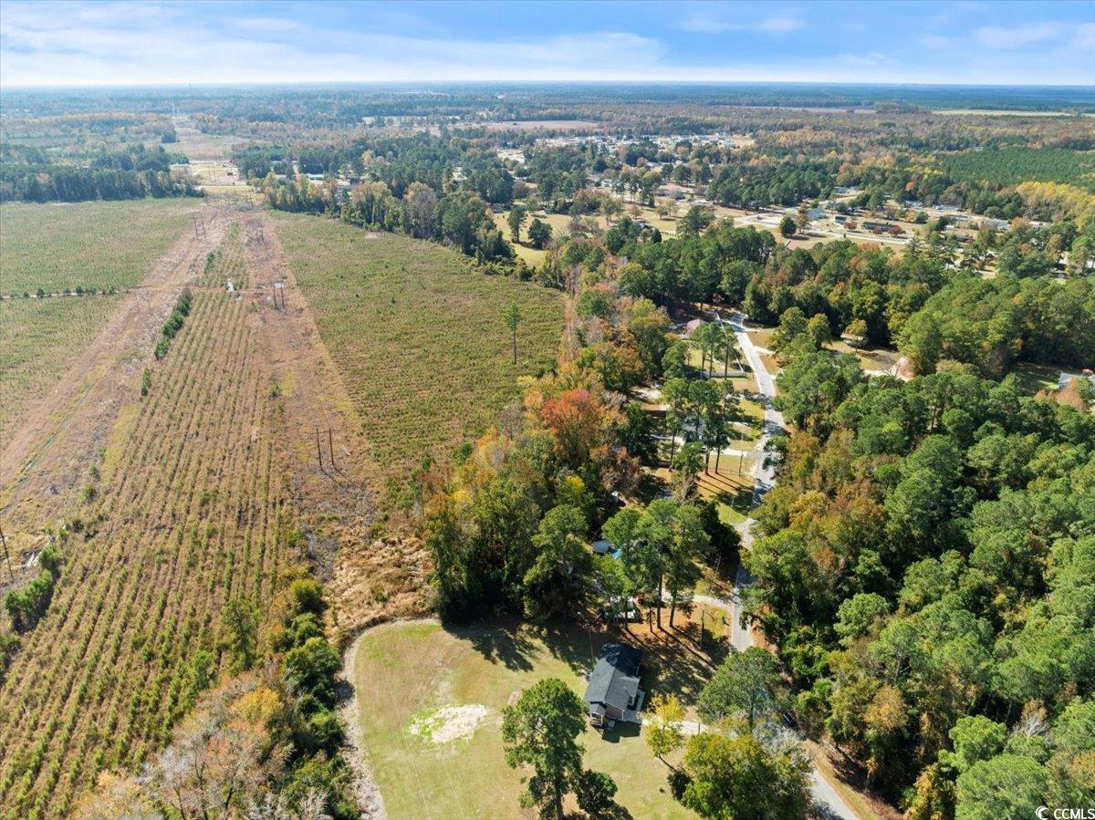 225 Butler Road Marion, SC 29571 - Photo 39 of 40