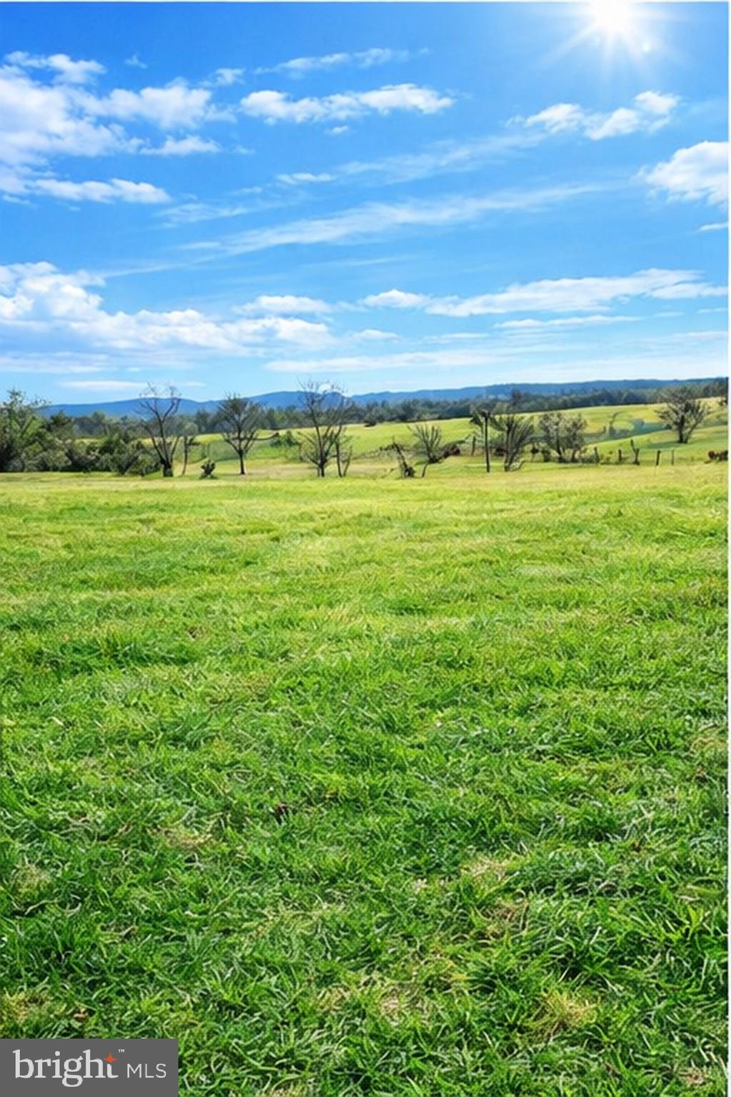 Kibler Road Quicksburg, VA 22847 - Photo 5 of 5 Wide open field with rolling terrain.