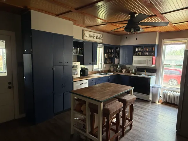 $128,900 | 300 North Holcomb Avenue, Milledgeville, IL 61051