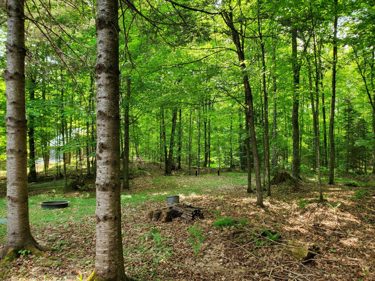 3819 Silver Birch Road Conover, WI 54519 - Photo 23 of 30 Gallery Image 23