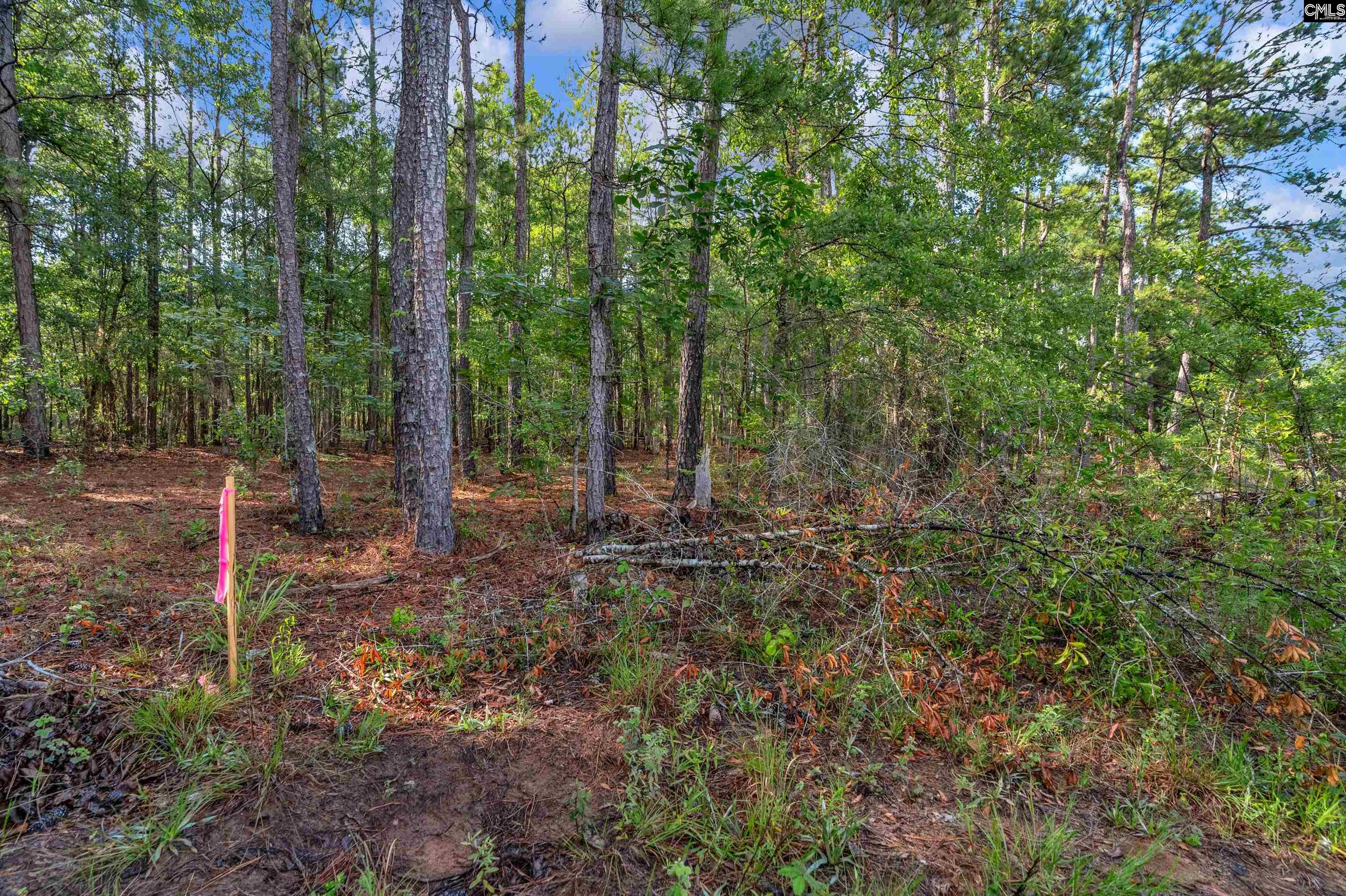 0 North Brewington Road, Unit 10 Manning, SC 29102 - Photo 28 of 29