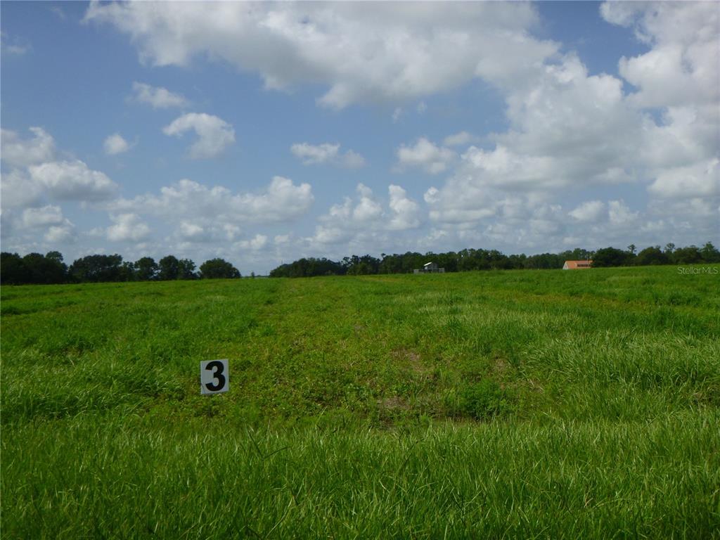 Angus Road Bartow, FL 33830 - Photo 1 of 1
