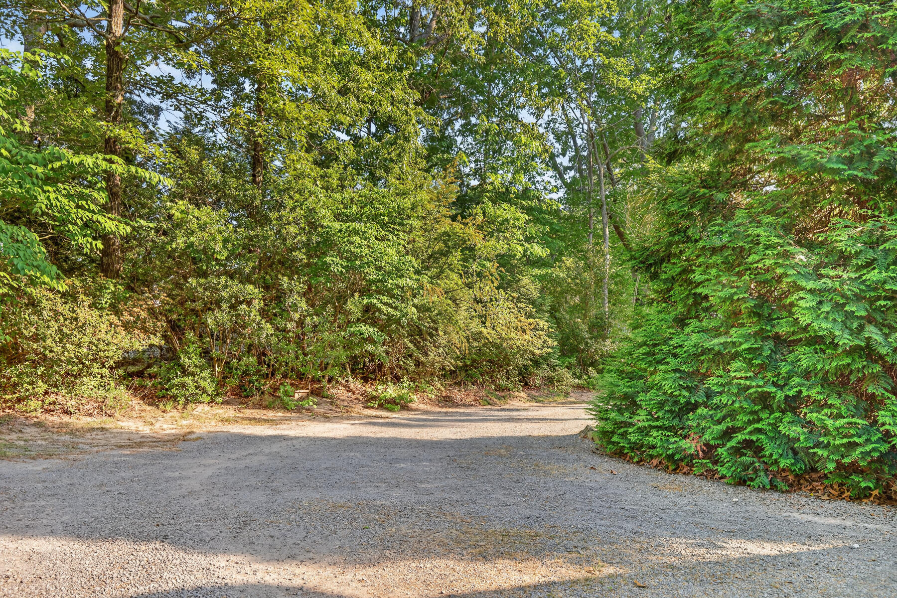 28 Santee Lakes Court Elloree, SC 29047 - Photo 61 of 68 drive curve with big tree