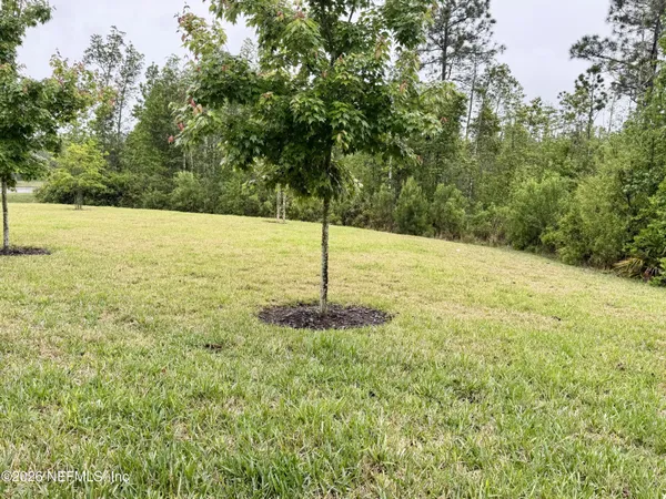 $1,850 | 11955 Calvesta Street, Jacksonville, FL 32256