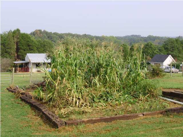 2946 Old Alabama Road Southwest McDonald, TN 37353 - Photo 10 of 14 Additional Photo