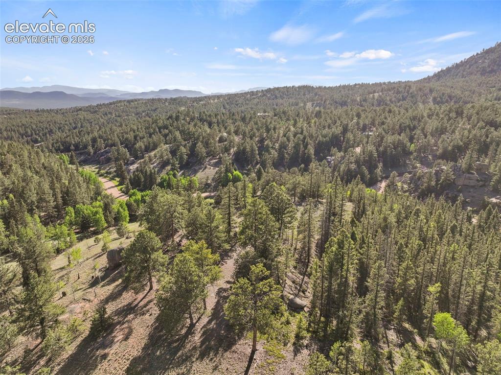 658 Conestoga Creek Road Florissant, CO 80816 - Photo 48 of 50