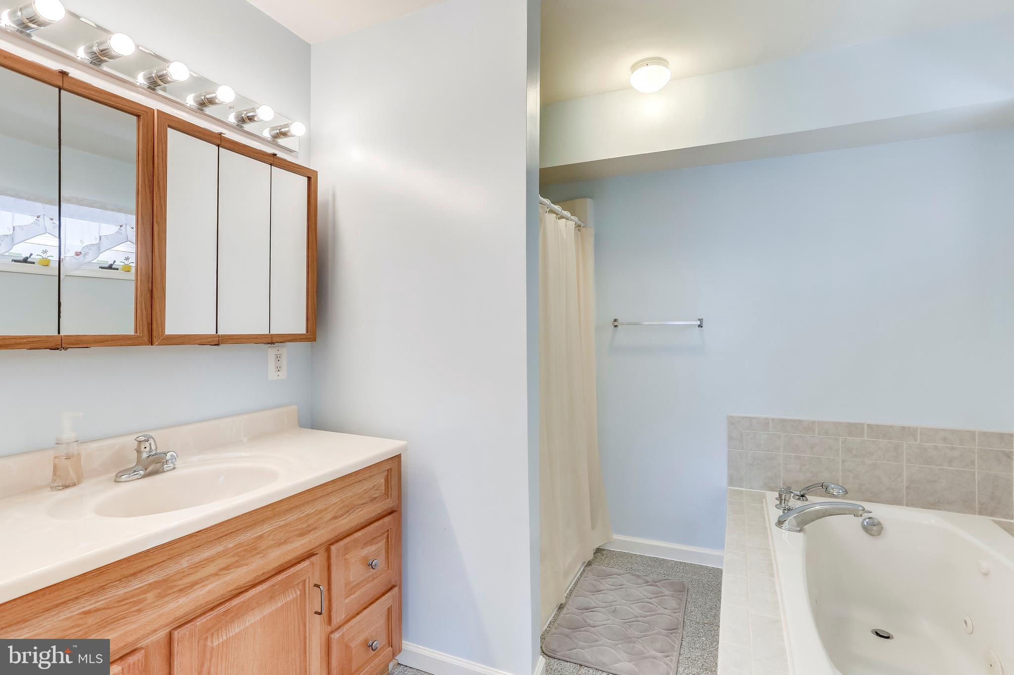 1745 Anderson Road Falls Church, VA 22043 - Photo 19 of 41 Main Level Master Bath