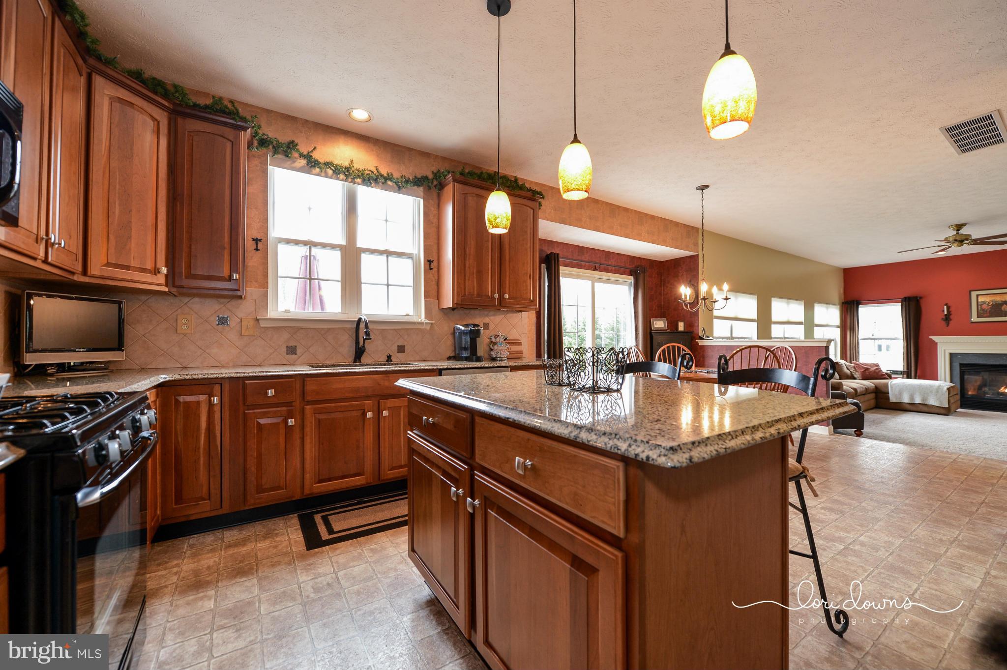93 Manchester Drive Rising Sun, MD 21911 - Photo 15 of 30 Kitchen