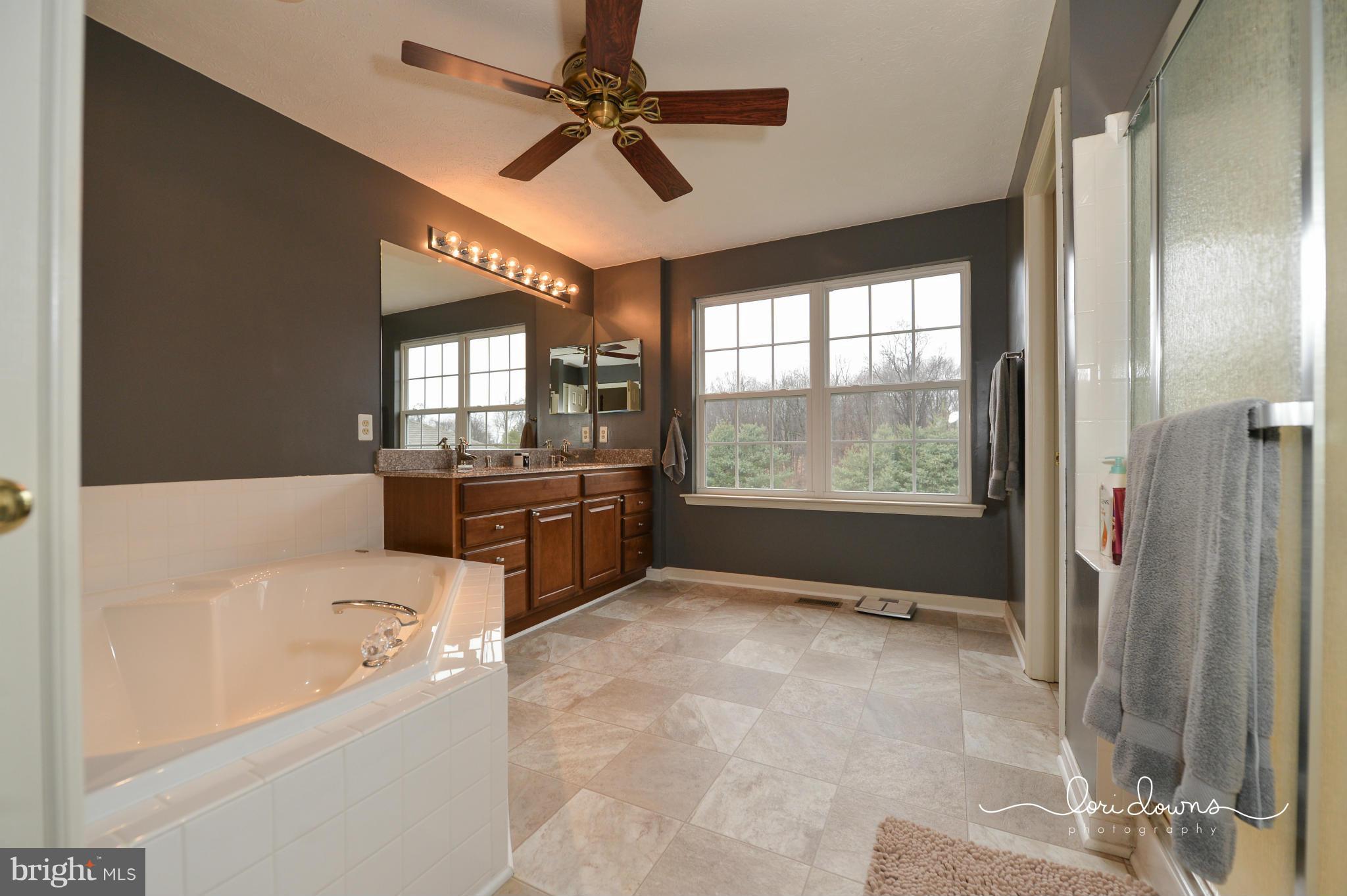 93 Manchester Drive Rising Sun, MD 21911 - Photo 24 of 30 Bath (Master)
