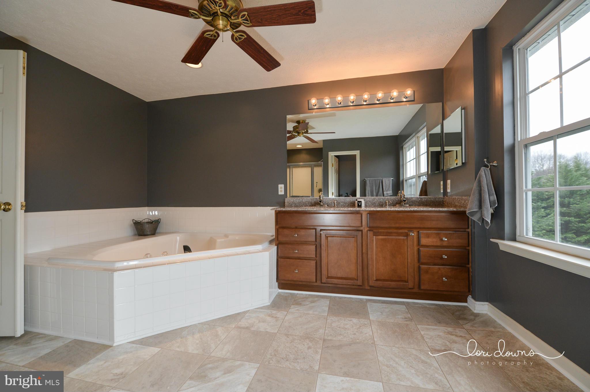 93 Manchester Drive Rising Sun, MD 21911 - Photo 25 of 30 Bath (Master)
