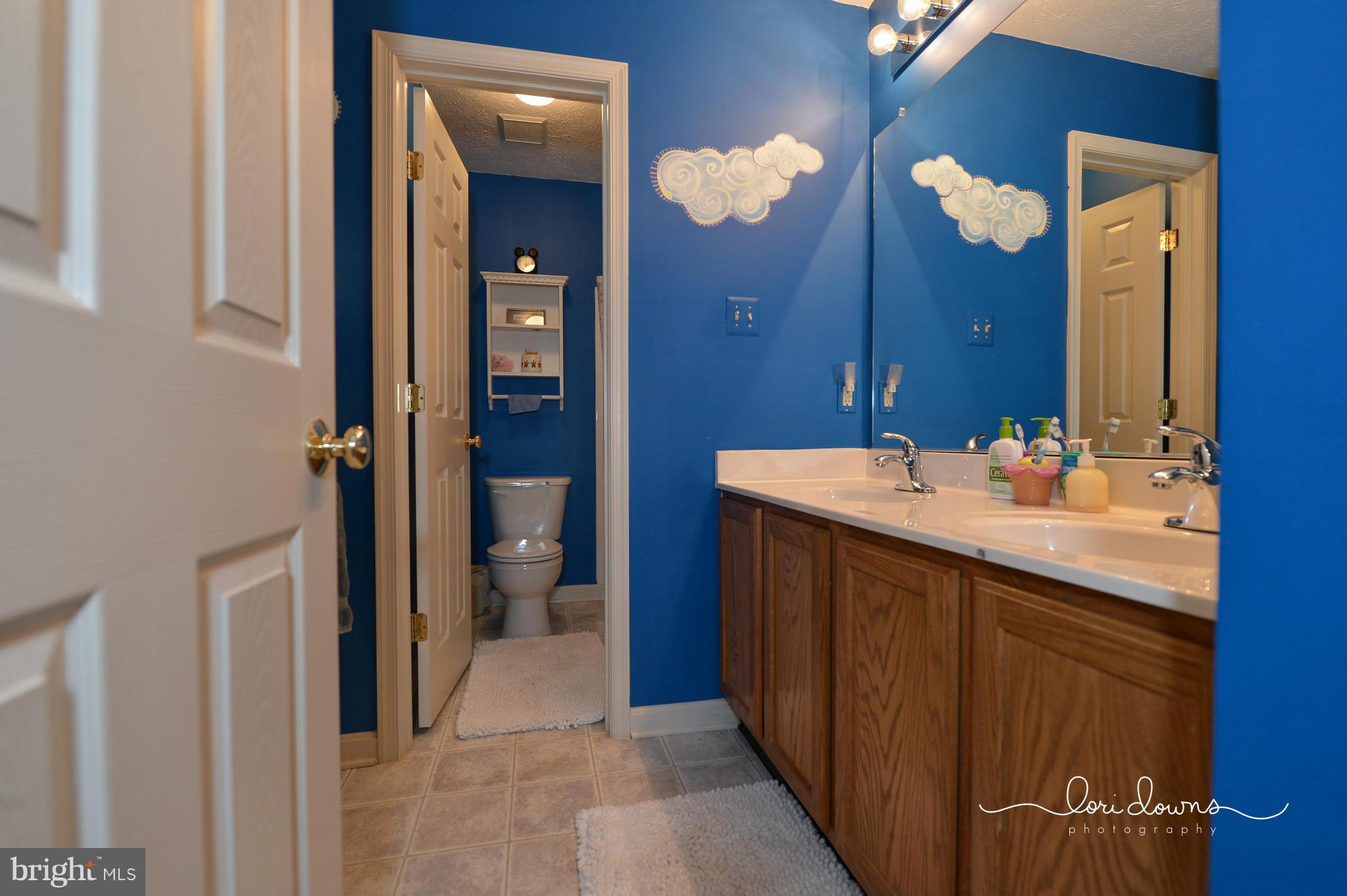 93 Manchester Drive Rising Sun, MD 21911 - Photo 27 of 30 Bath