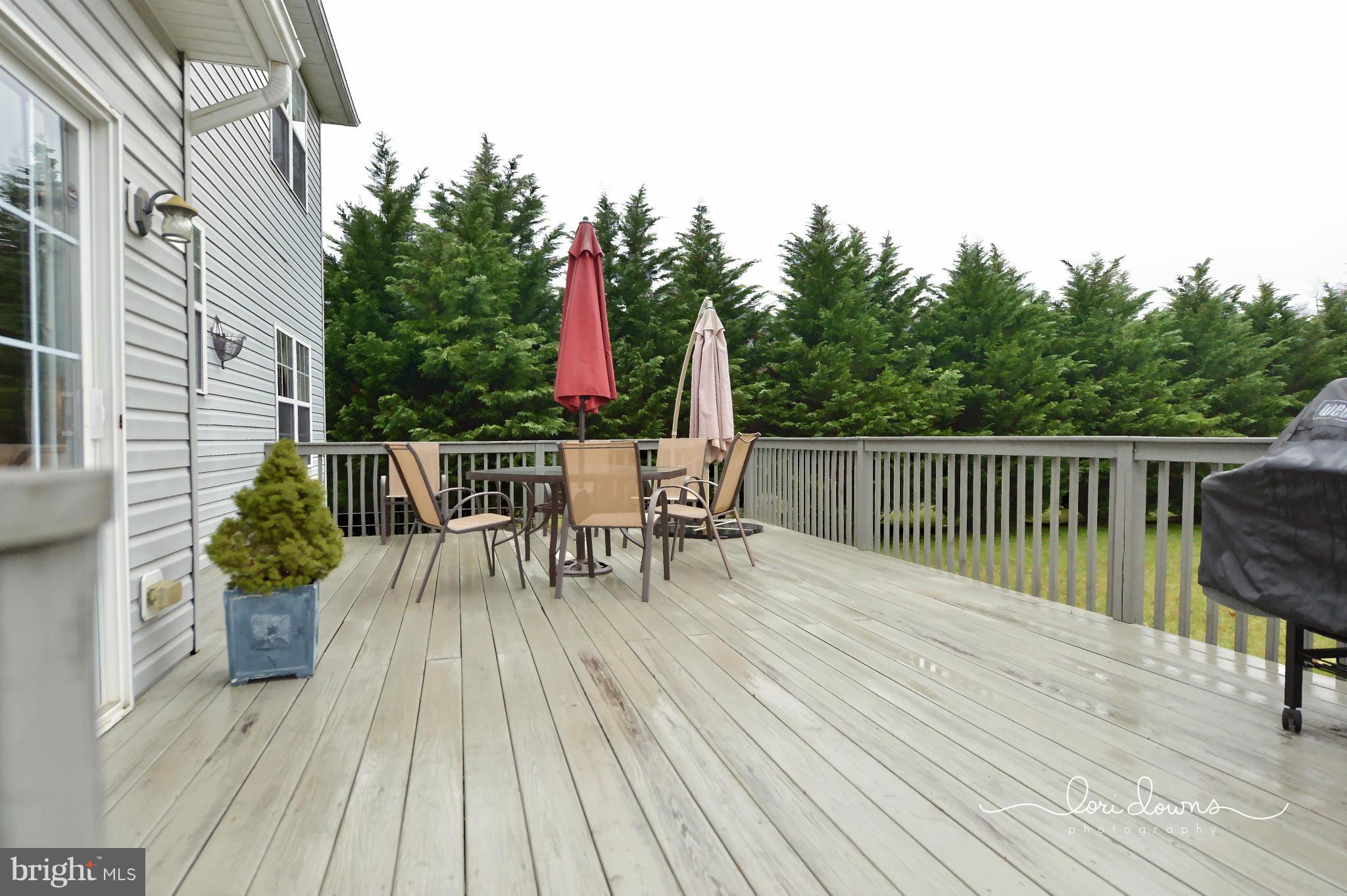 93 Manchester Drive Rising Sun, MD 21911 - Photo 5 of 30 Exterior (General)