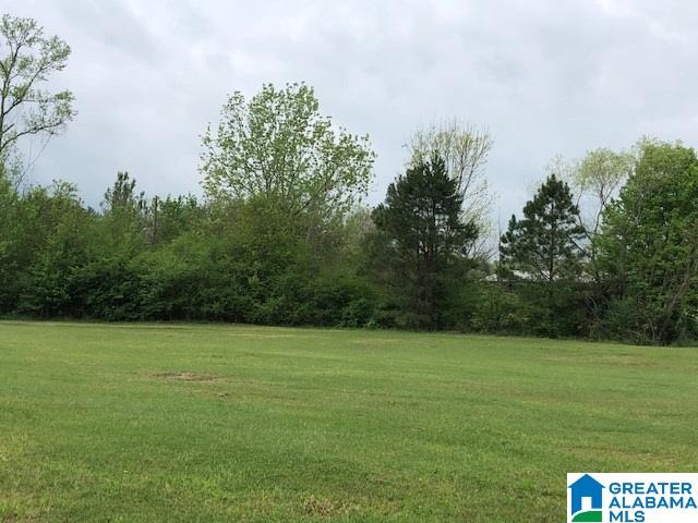 101 Rolling Circle, Unit 13 Vincent, AL 35178 - Photo 3 of 5