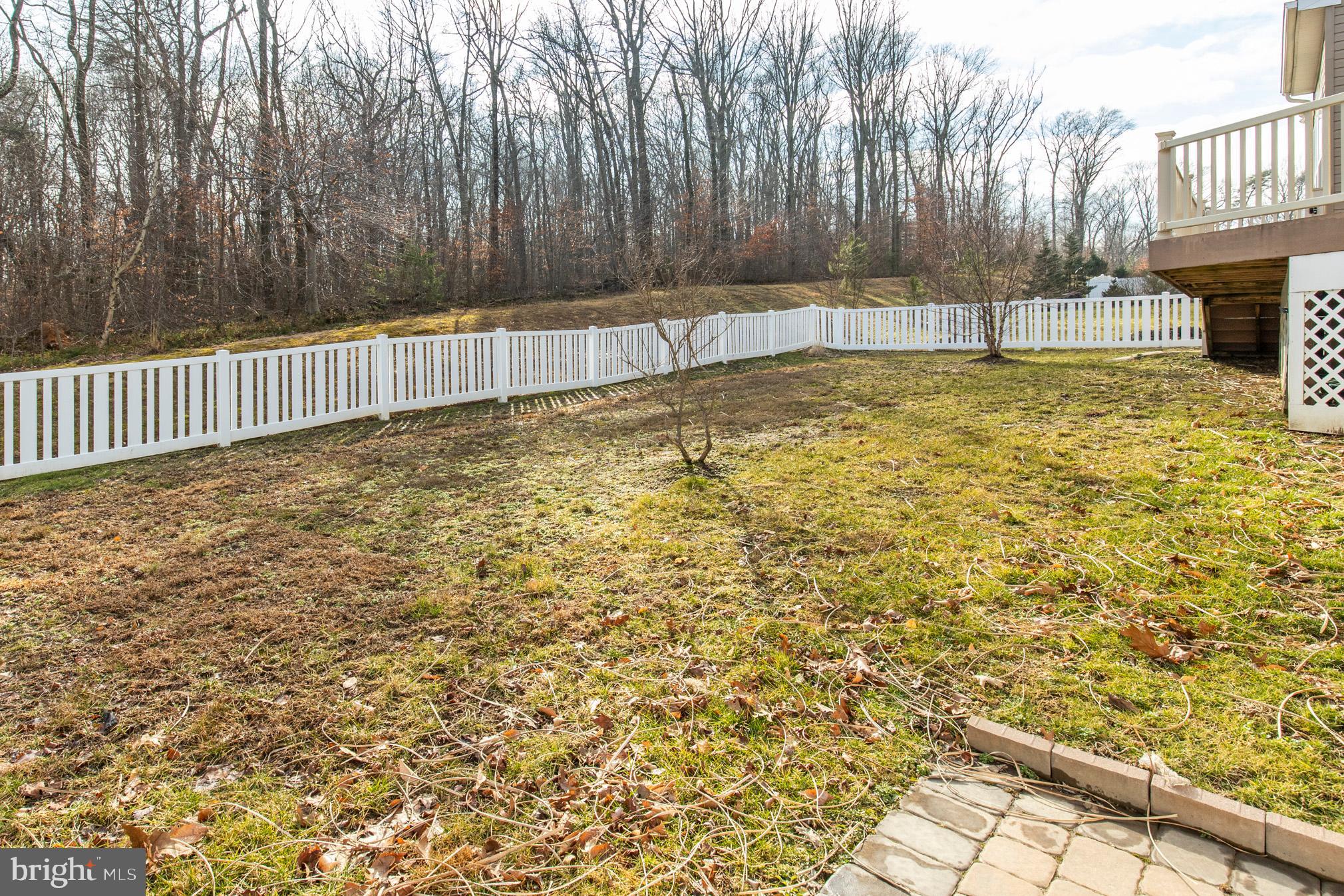 428 Welsh Hill Road Newark, DE 19702 - Photo 29 of 31 Rear Yard View