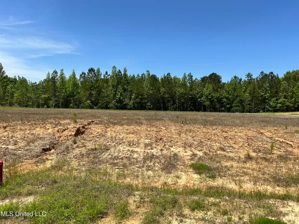 $95,000 | 39 Deerwood Dr Lake, Lake Cormorant, MS 38641
