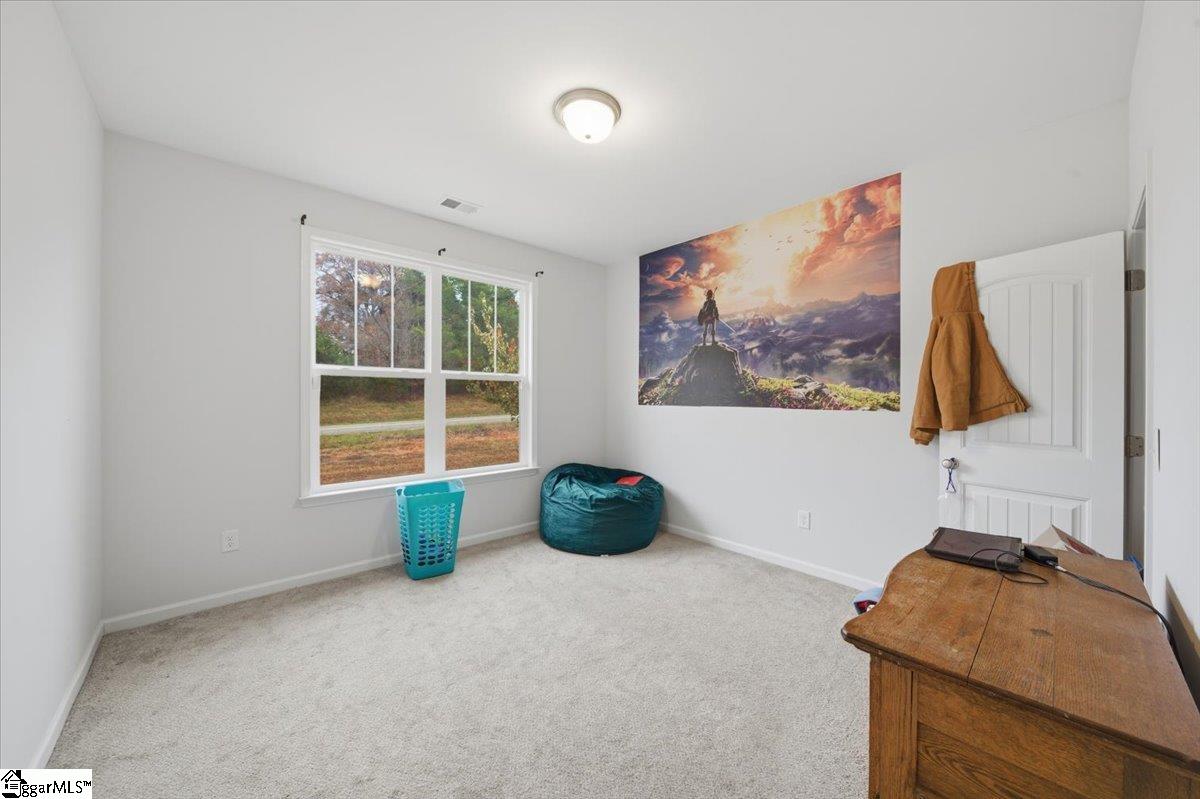 3542 Highway 414 Landrum, SC 29356 - Photo 19 of 30