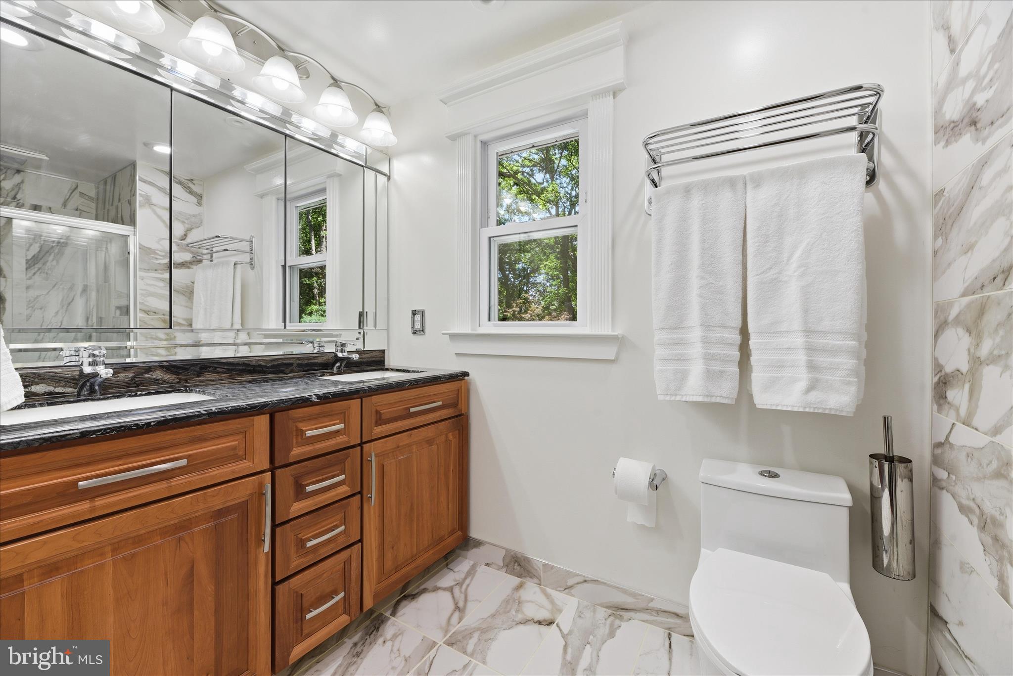 3340 Daisy Road Woodbine, MD 21797 - Photo 28 of 59 Primary Bathroom