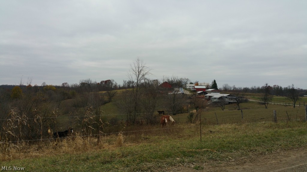 3180 Thomas Road Chesterhill, OH 43728 - Photo 2 of 25 Gallery Image 2