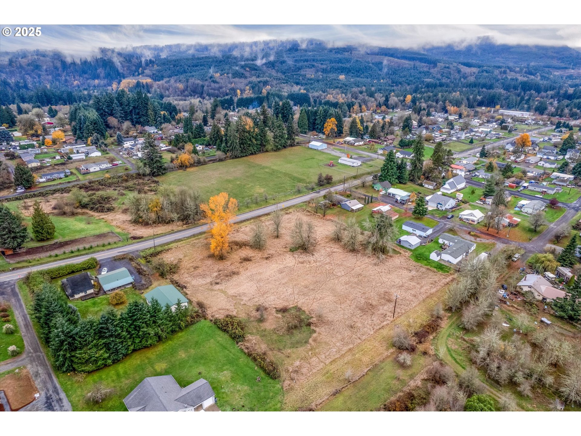 0 7th Street Vader, WA 98593 - Photo 11 of 22 View