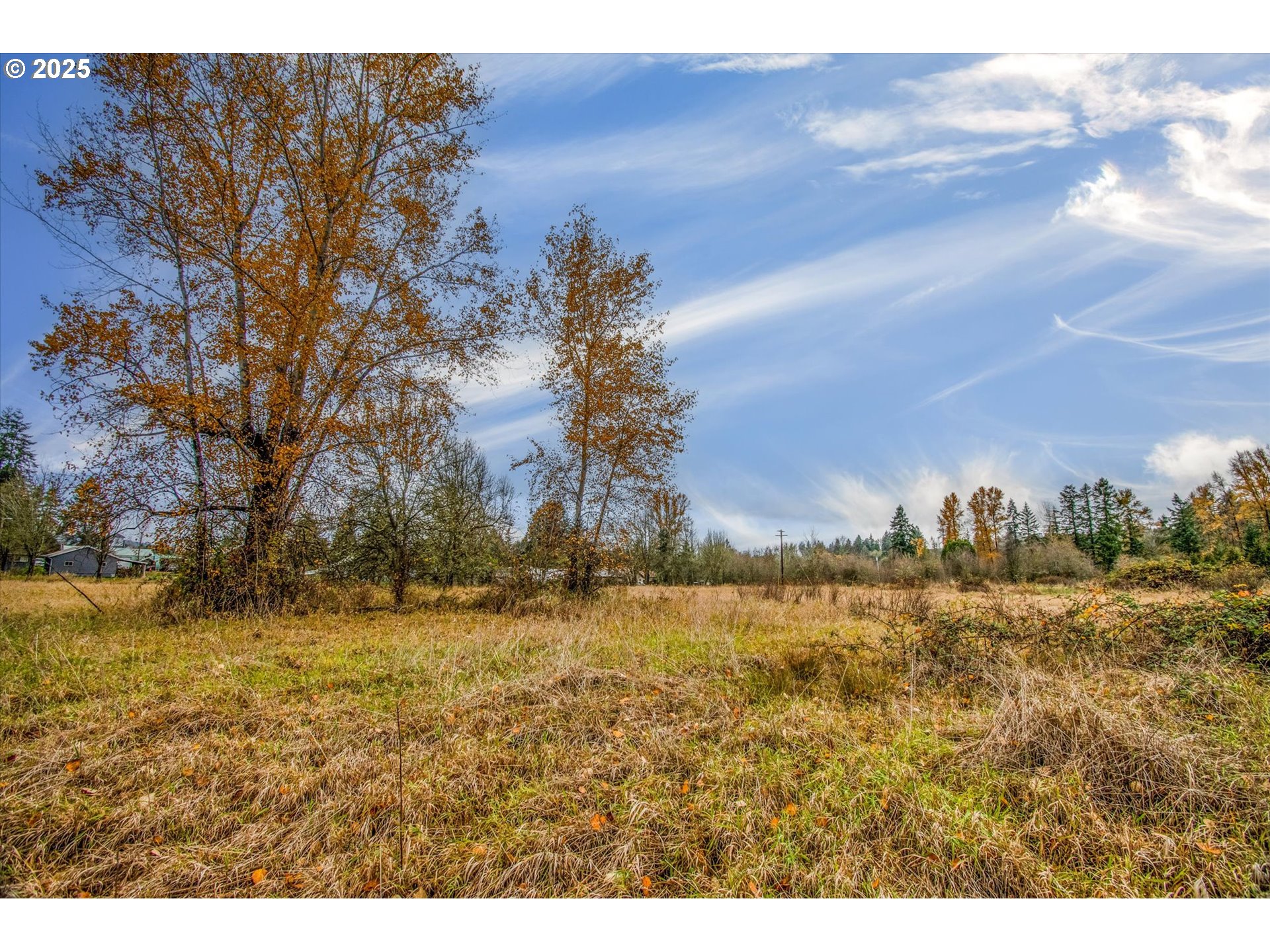 0 7th Street Vader, WA 98593 - Photo 14 of 22 Acreage