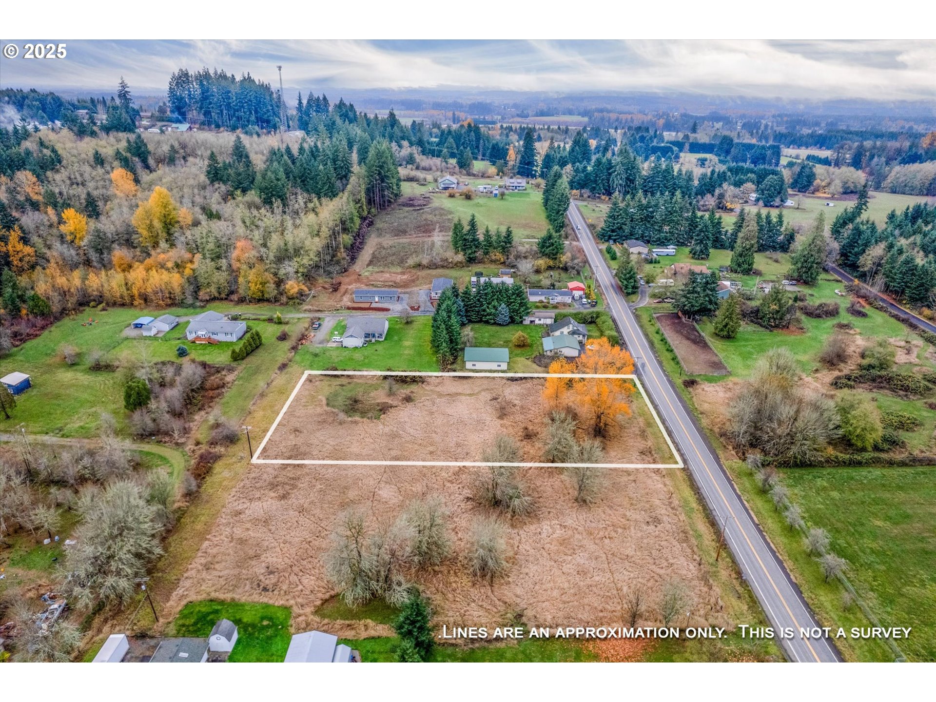 0 7th Street Vader, WA 98593 - Photo 18 of 22 Approximate Property Lines
