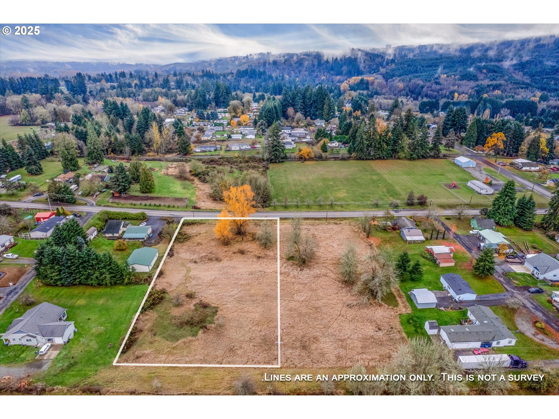 0 7th Street Vader, WA 98593 - Photo 20 of 22 View