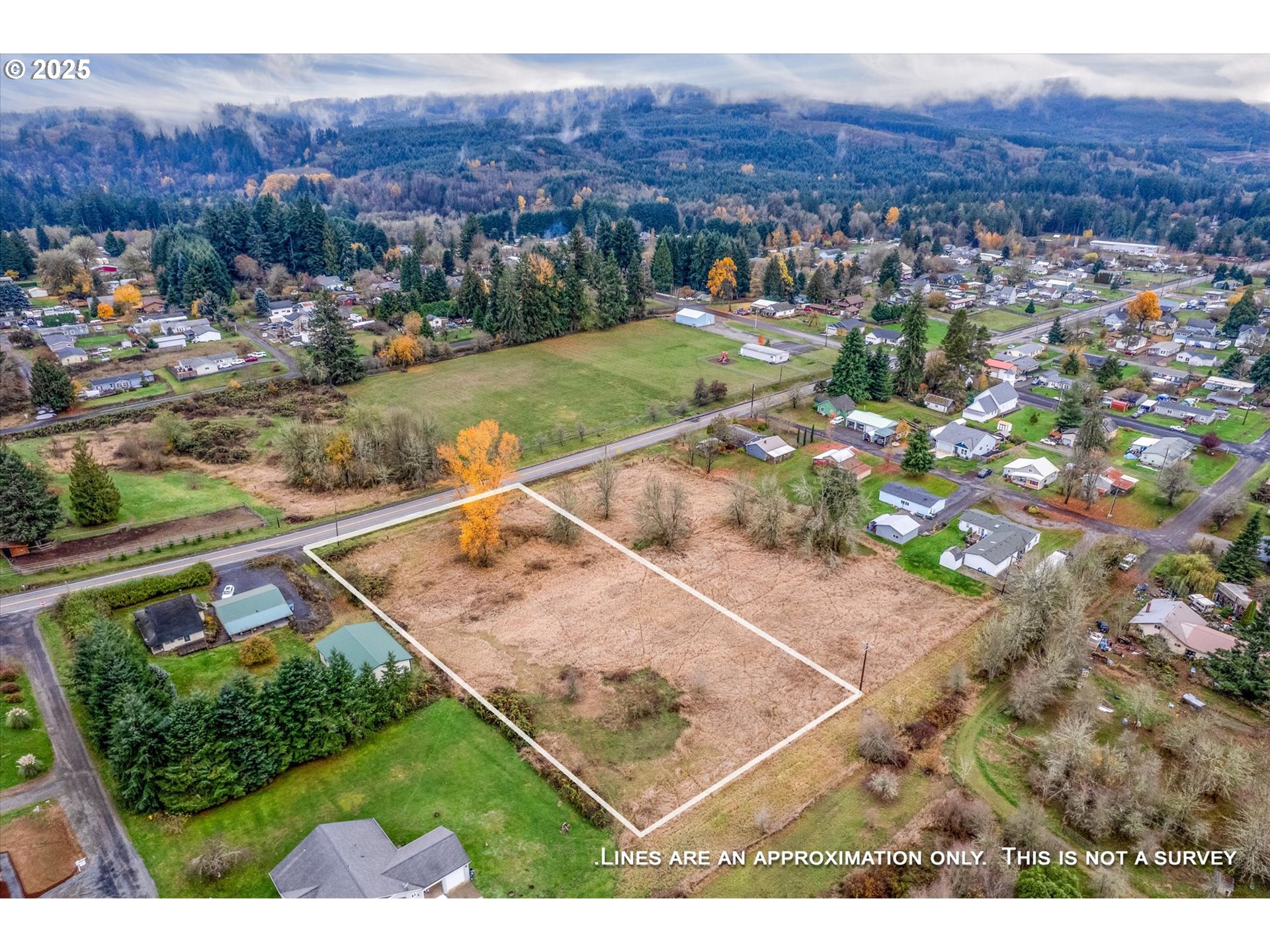 0 7th Street Vader, WA 98593 - Photo 22 of 22 View