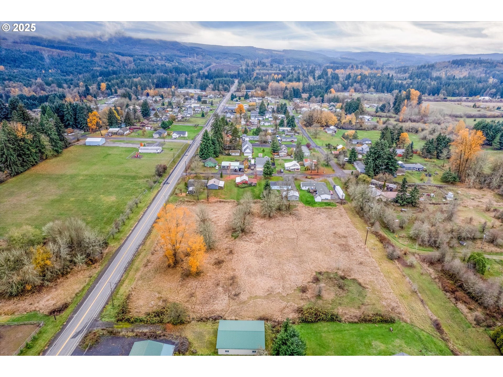 0 7th Street Vader, WA 98593 - Photo 5 of 22 View