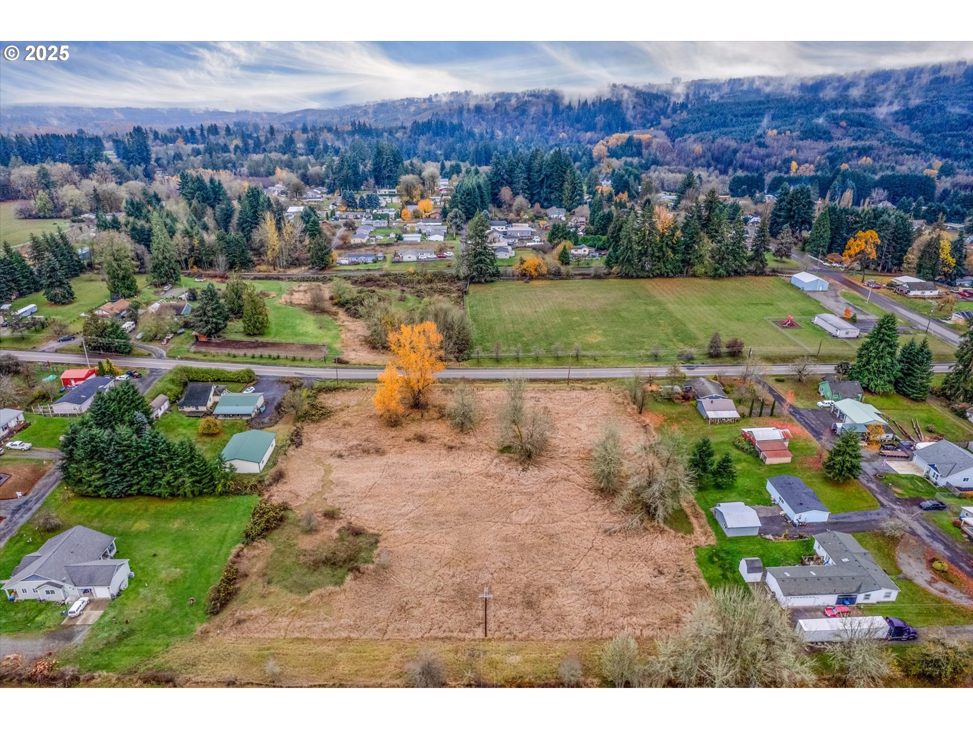 0 7th Street Vader, WA 98593 - Photo 9 of 22 View