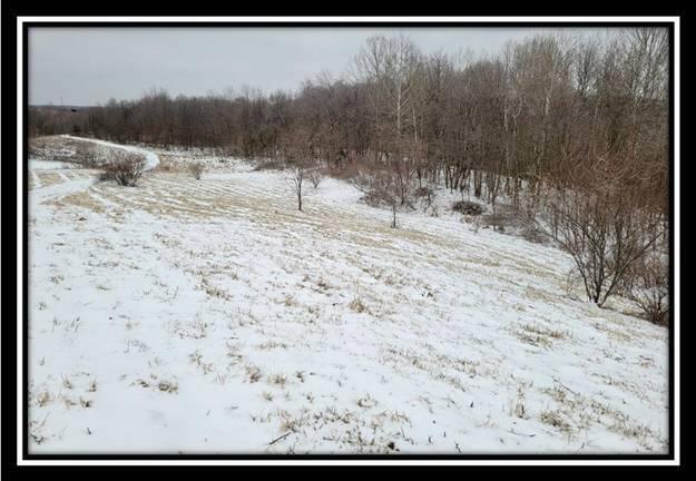 0 Number 12 Hollow Road Wellston, OH 45692 - Photo 26 of 45 image026