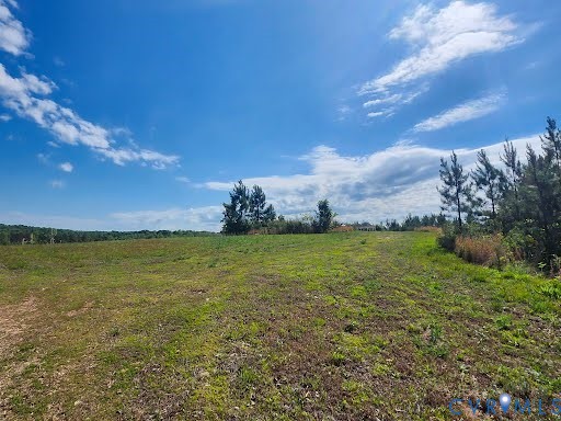 0 Chellowe Road Dillwyn, VA 23936 - Photo 2 of 9