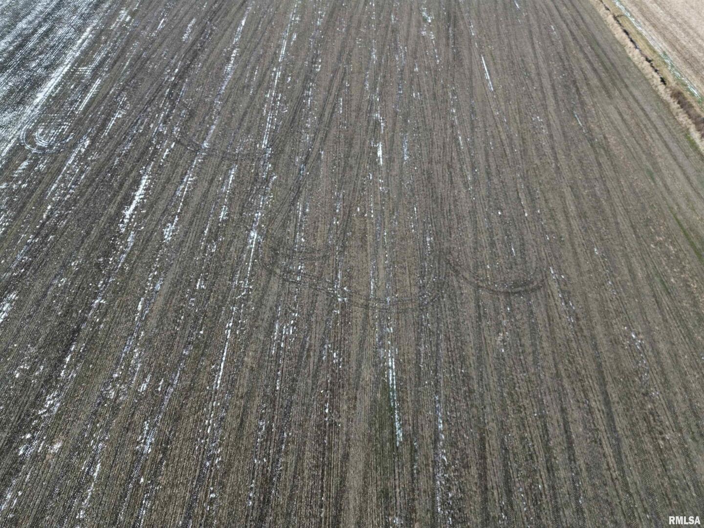 0 County Road 700 E Road Mount Carmel, IL 62863 - Photo 12 of 29 a close view of wooden wooden floor