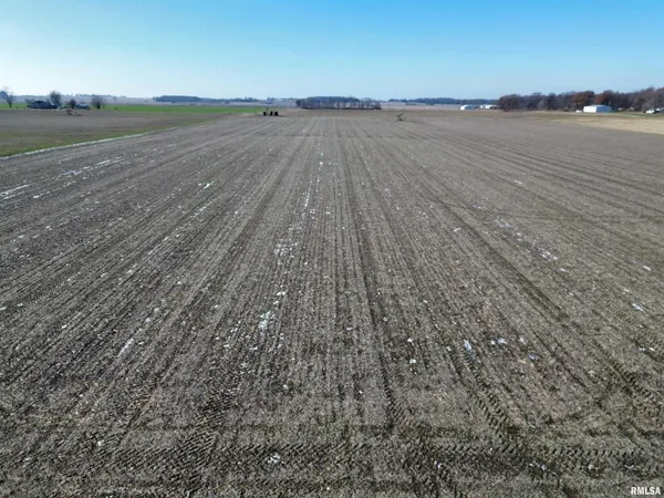 a view of a dry yard with wooden floor and fence